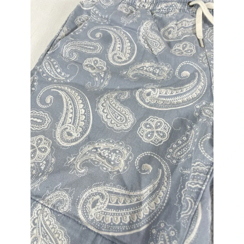 PacSun Men's Paisley Volley Shorts Blue Elastic Waist Drawstring Size S - Picture 4 of 13